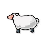 sheep doodle