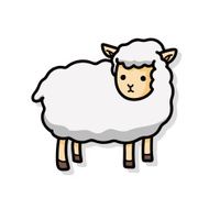 sheep doodle N3