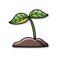 seed doodle N2