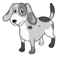 Little dog on white N2