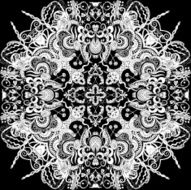 Beautiful black and white pattern