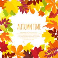banner with autumn foliage N2