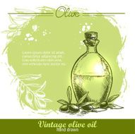 Vintage olive oil bottle with branch
