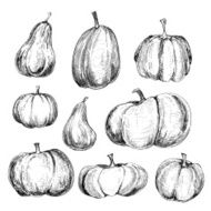 Pumkins