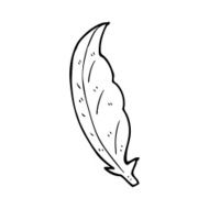 line drawing cartoon feather