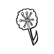 line drawing cartoon dandelion