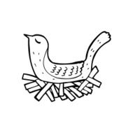 line drawing cartoon bird on nest