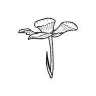 line drawing cartoon flower