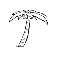 line drawing cartoon palm tree