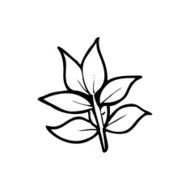 line drawing cartoon leaves