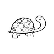 line drawing cartoon happy tortoise