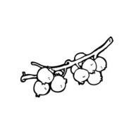 line drawing cartoon berries