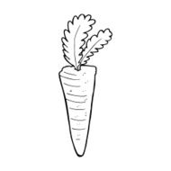 line drawing cartoon carrot N2