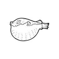 line drawing cartoon blowfish