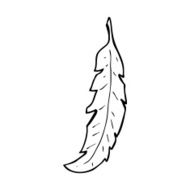 line drawing cartoon feather N4