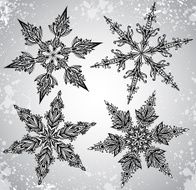 SEt of four beautiful hand drawn ornamental doodle snowflakes