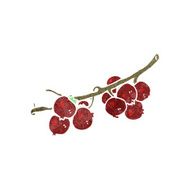 Cartoon Berries N3