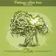 Vintage hand drawn olive tree