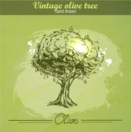 Vintage hand drawn olive tree N2