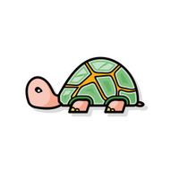 turtle doodle