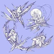 Background with irises N2