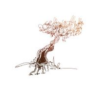 Coffee tree simple vector sketch