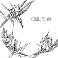 Background with irises N8