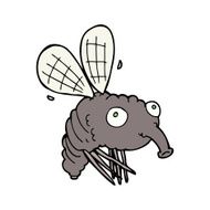 Cartoon Fly N8