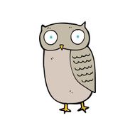 Cartoon Owl N29
