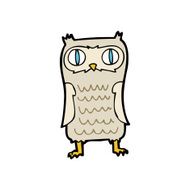 Cartoon Owl N31