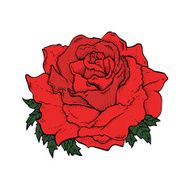 Cartoon Rose N5