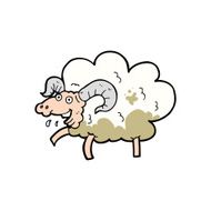 Cartoon Sheep N20