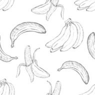 Vector Sketch Banana Pattern Background N4