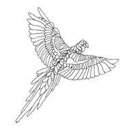 Zentangle stylized macaw parrot Sketch for tattoo or t-shirt