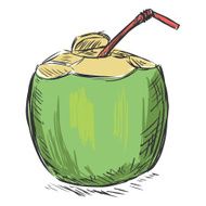 Vector Color Sketch Coconut Cocktail with a Straw