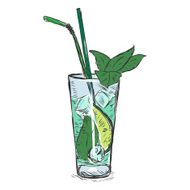 Vector Color Sketch Cocktail Mojito