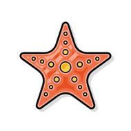 sea animal starfish doodle