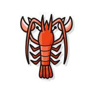 sea animal lobster doodle