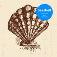 Seashell hand drawn sketch Vintage illustration N3