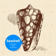 Seashell hand drawn sketch Vintage illustration N4