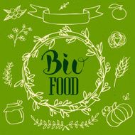 Organic bio ecology natural logotypes elements set