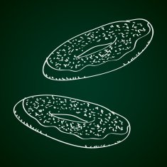 Simple doodle of a doughnut N2