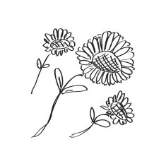 Simple doodle of a flower