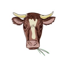 doodle cow