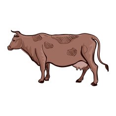 doodle cow N2