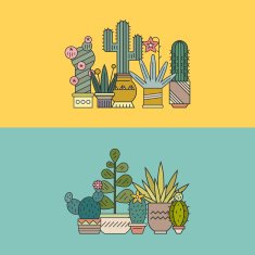 Cactus N4