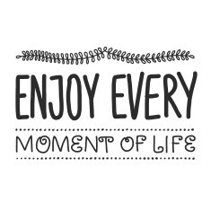 Vector illustration with motivation phrase N5