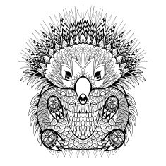 Hand drawn Echidna Australian animal illustration for antistres