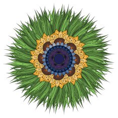 Vector Beautiful Deco Colored Mandala N3