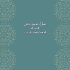 Floral abstract ornament vector illustration N3